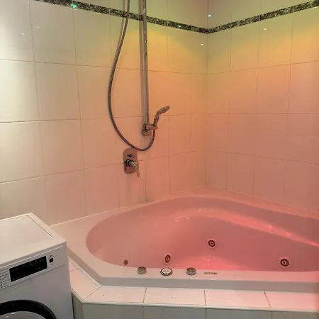 Apartment Harlaching Munich